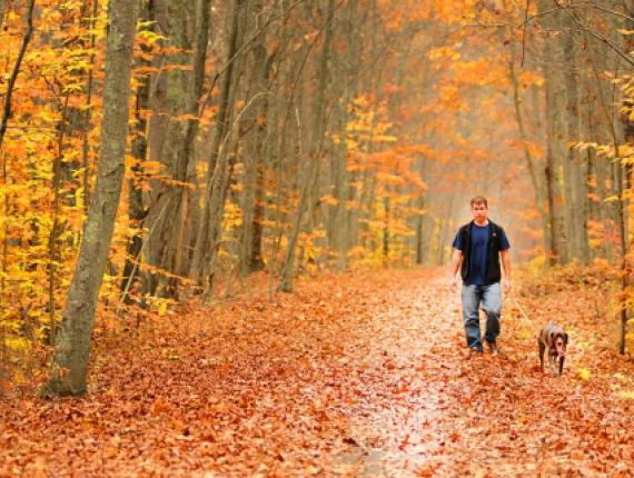 Un hombre caminando con su perro por un sendero a través del bosque en otoño con hojas caídas cubriendo el suelo (CTVisit)