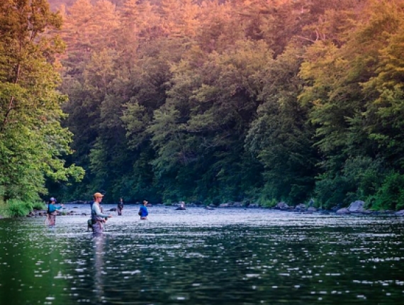 Pesca con mosca en grupo al atardecer en American Legion (Instagram@nyctrout)