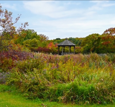 Campo de Otoño para la Observación de la Naturaleza