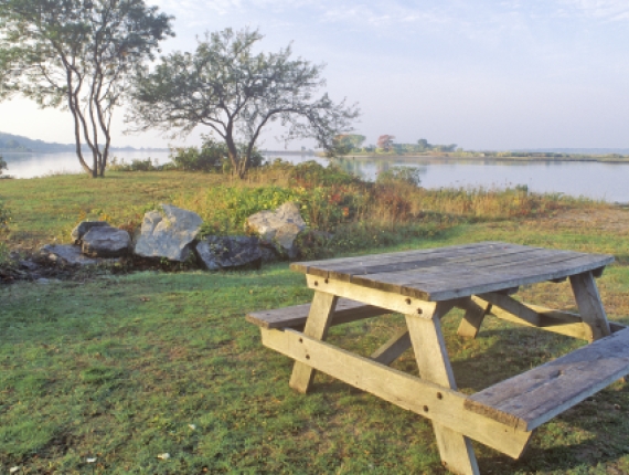 Lugar para hacer picnic en la costa del Parque Estatal Bluff Point