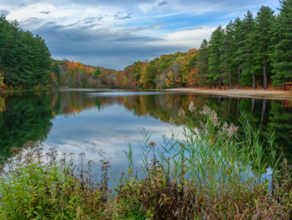 Vista de la línea de agua y árboles de Chatfield Hollow (Flickr)