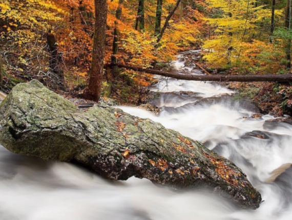 Una cascada precipitada en el bosque en otoño (Instagram@nature_brilliance)