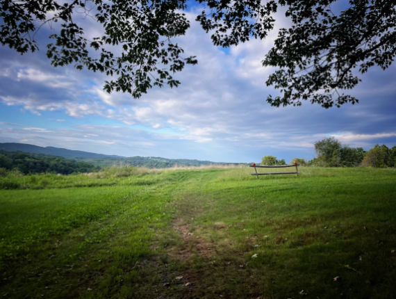 una vista de vastos campos verdes bajo un cielo azul