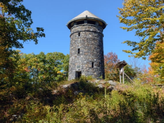 Una torre de piedra en el bosque (CTVisit)
