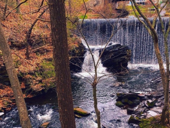 Una cascada en el bosque cerca de un puente (Instagram@deppinlove)