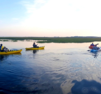 Paseo en kayak en grupo por la costa de Connecticut