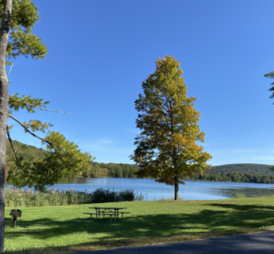 Lake Waramaug viewed from the campground area with trees in foreground