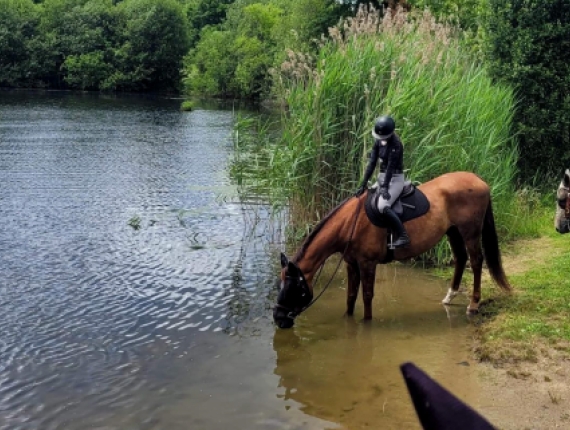 Un caballo con jinete, bebe agua a la orilla del río (Instagram@ayrebeareq)