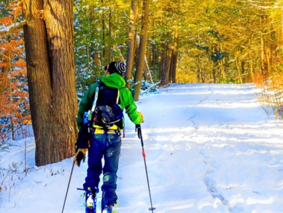 Un hombre esquiando en el bosque (Instagram@ctvisit)
