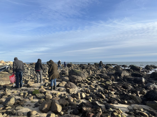 Intertidal Investigation with CTEE. 2026