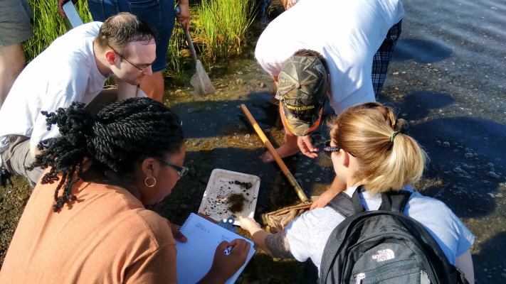 Teachers engaged in freshwater study. Kellogg 2021