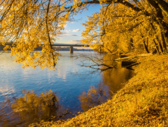 Vista del canal Windsor Locks durante el otoño (Flickr@Jennifer-Yakey-Ault)