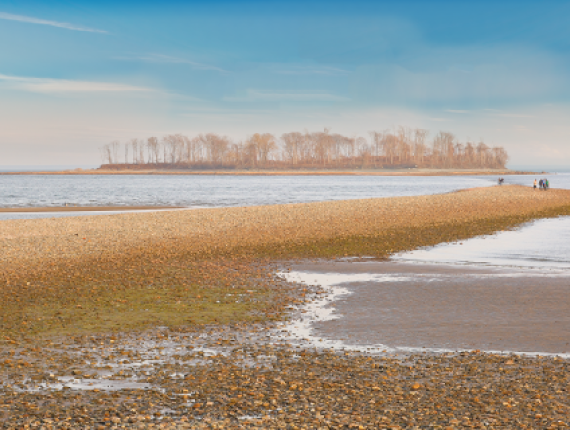 Caminando por la costa en Silver Sands State Park